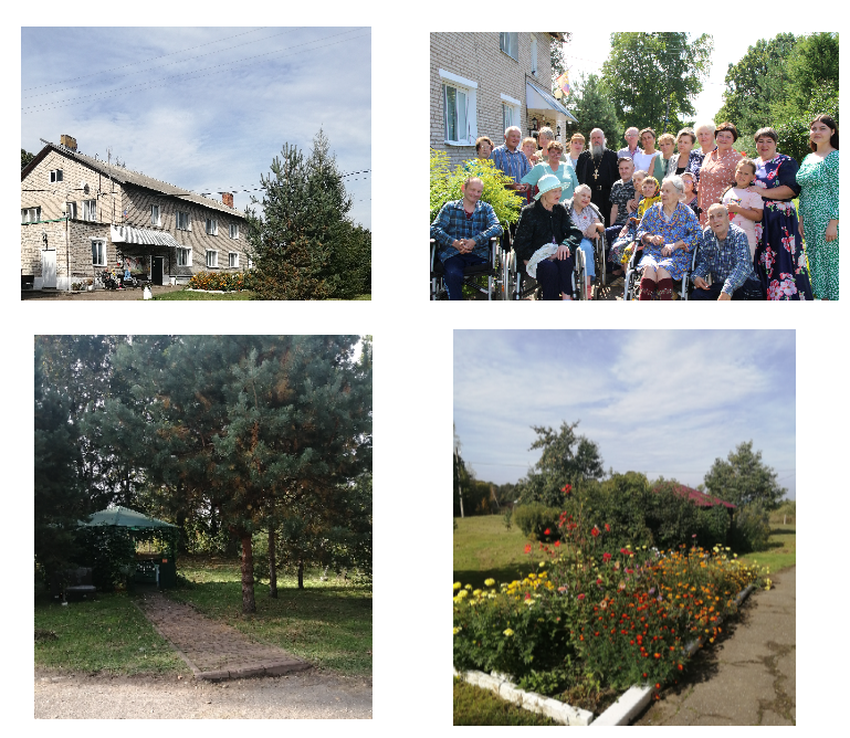 collage 1